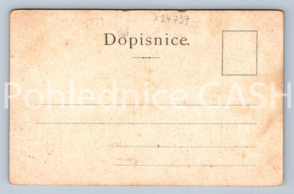 Pohlednice ŽIŽKOVA TŘÍDA V KARLÍNĚ (X24737)