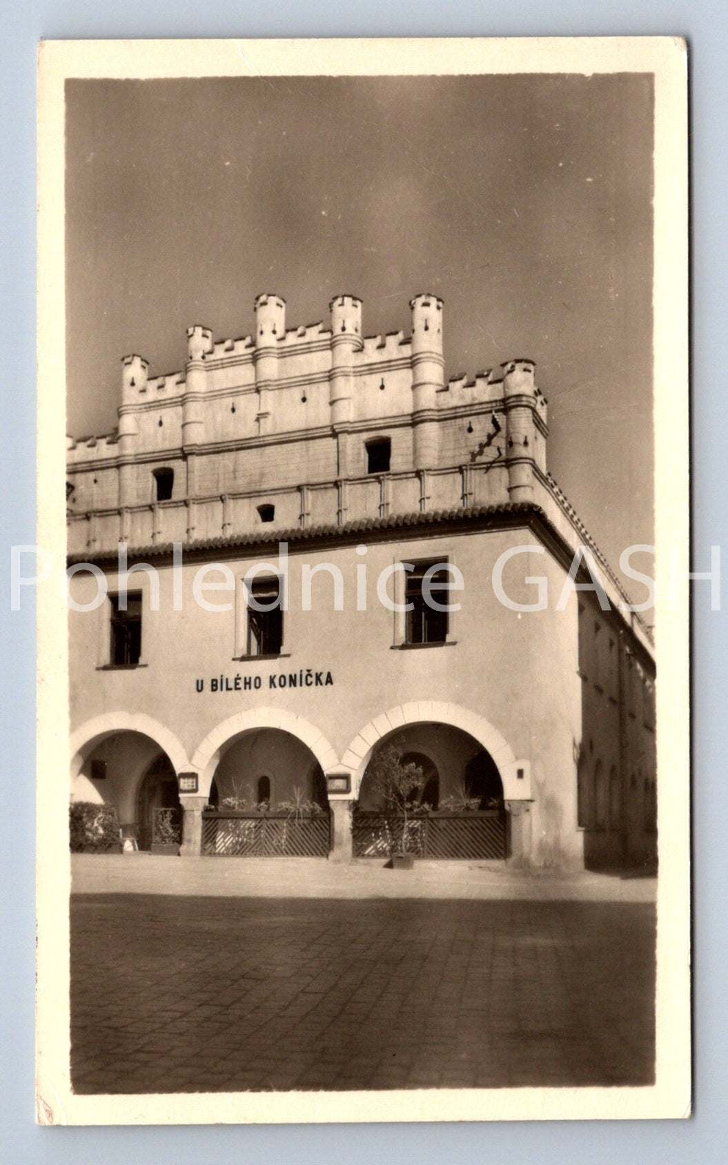 Pohlednice TŘEBOŇ - HOTEL U BÍLÉHO KONÍČKA (X24769)