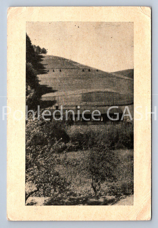 Postcard SOKOL CAMP IN LESKOVÁ (X24787)