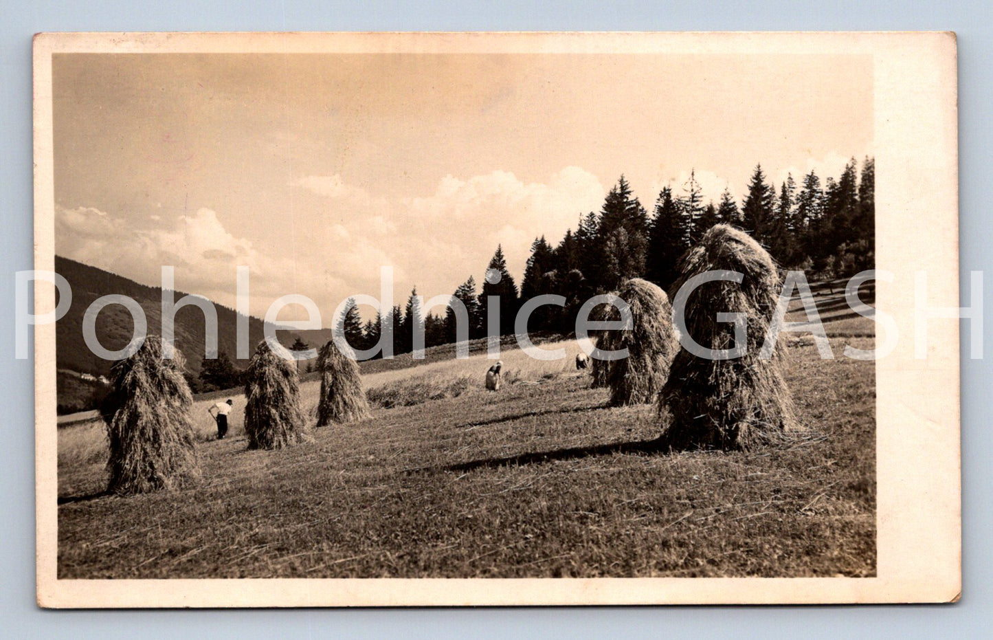 Pohlednice NA LOUCE (X24846)