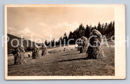 Pohlednice NA LOUCE (X24846)