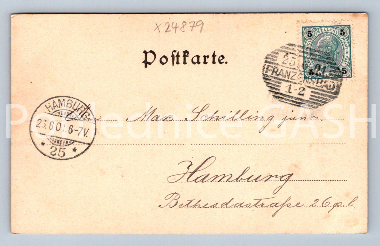 Pohlednice FRANZENBAD FRANTIŠKOVI LÁZNĚ DLOUHÁ ADRESA (X24879)