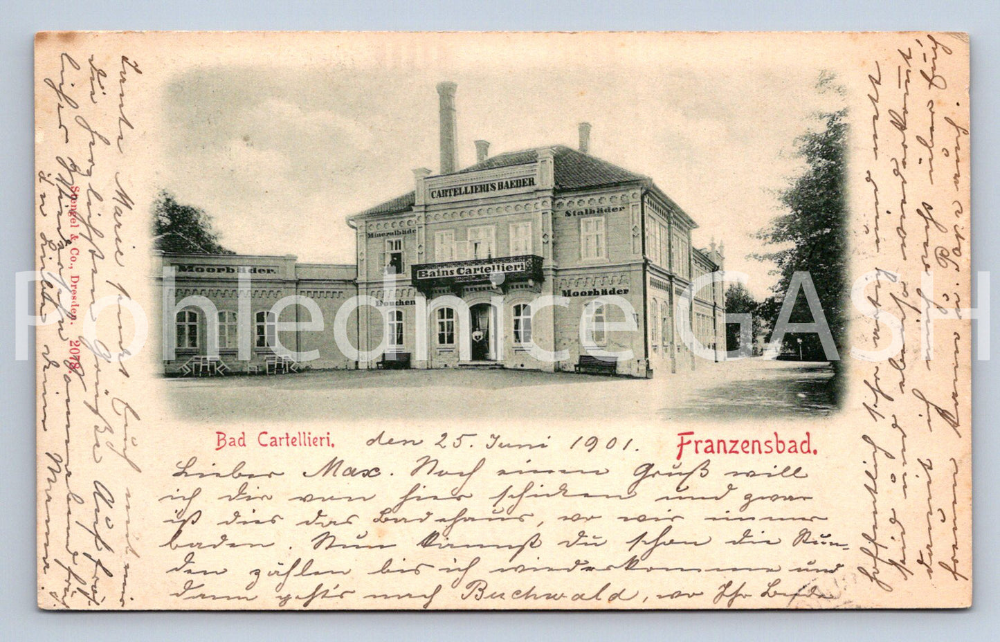 Pohlednice FRANZENBAD FRANTIŠKOVI LÁZNĚ DLOUHÁ ADRESA (X24879)