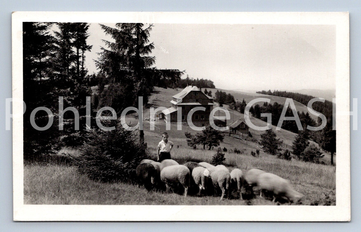 Pohlednice JAVORNÍKY NA VALAŠSKU - HORSKÝ HOTEL PORTÁŠ (X24928)