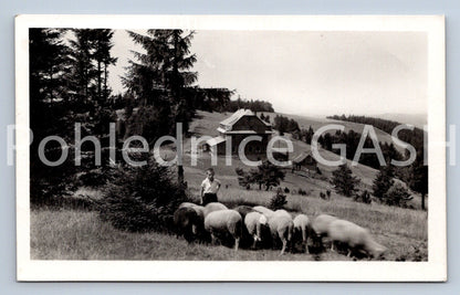 Pohlednice JAVORNÍKY NA VALAŠSKU - HORSKÝ HOTEL PORTÁŠ (X24928)