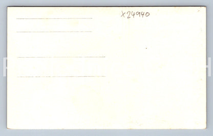 Pohlednice HRAD LICHNICE (X24940)