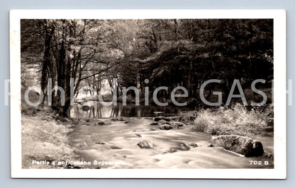 Pohlednice PARTIE Z POŘÍČSKÉHO SVÝCARSKA (X24942)