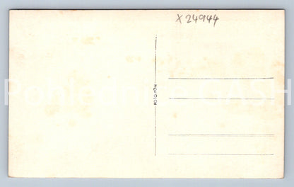 Pohlednice KOZÍ HRÁDEK (X24944)