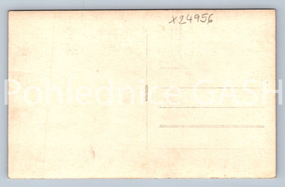 Pohlednice ŠUMAVA - LENORA CHATA KČST (X24956)