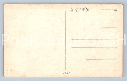 Pohlednice KOSTELEC NAD ČESKÝMI LESY (X24996)