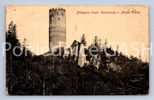 Pohlednice ZŘÍCENINA HRADU ŠELLENBERKA V MLADÉ VOŽICE (X25018)