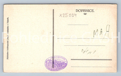 Pohlednice HRAD CHOUSTNÍK (X25039)