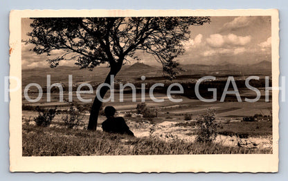 Postcard HAZNBURG (X25040)