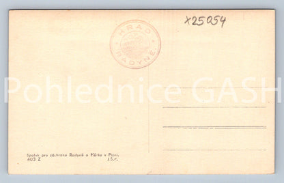 Pohlednice HRAD RADYNĚ U PLZNĚ (X25054)