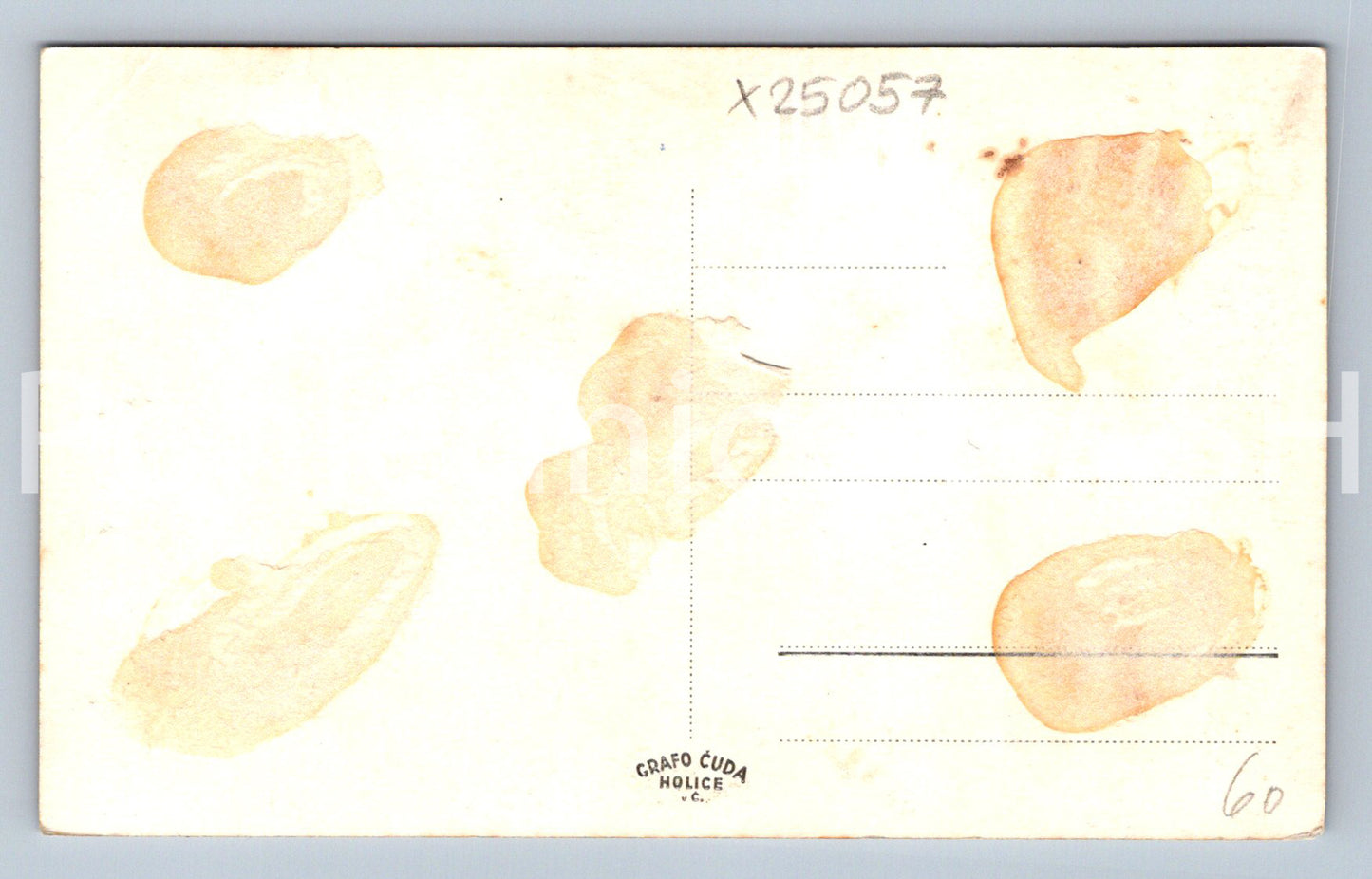 Pohlednice HRADEC KRÁLOVÉ (X25057)