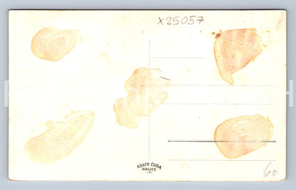 Pohlednice HRADEC KRÁLOVÉ (X25057)