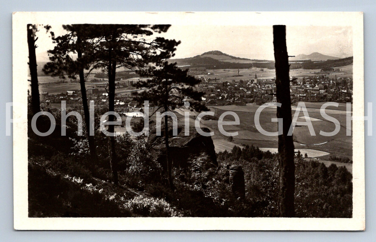 Pohlednice CVIKOV (X25058)