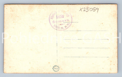 Pohlednice ŠUMAVA (X25059)