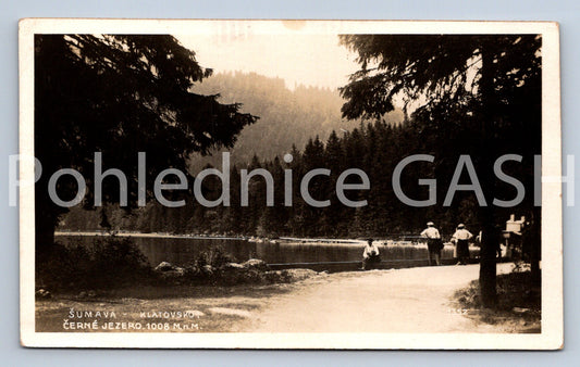 Pohlednice ŠUMAVA (X25060)
