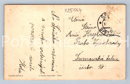 Postcard ŠUMAVA (X25064)