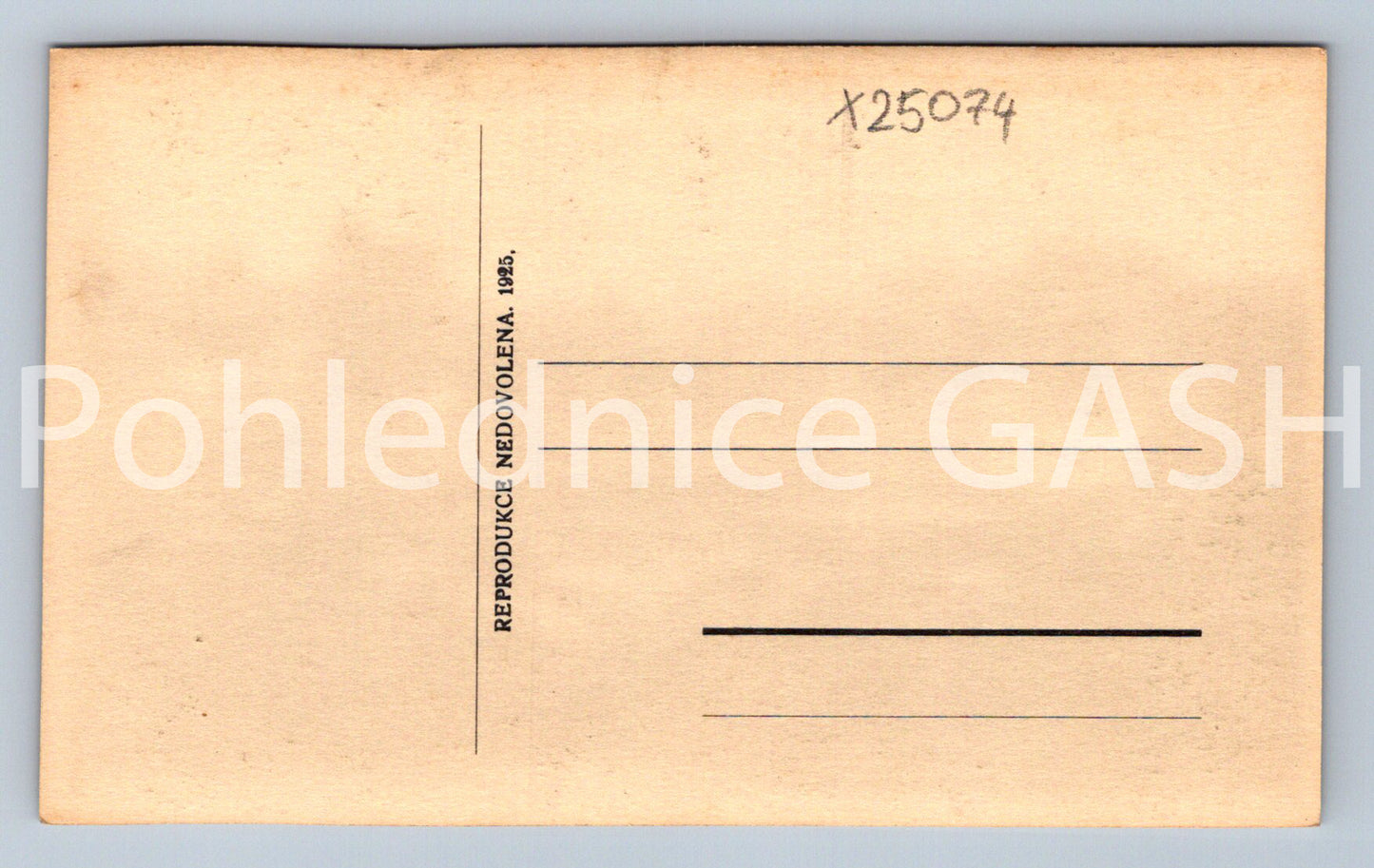 Postcard IN DOBŘÍŽ CASTLE (X25074)