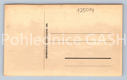 Postcard IN DOBŘÍŽ CASTLE (X25074)