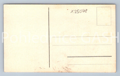 Postcard TREBISCHTOR BÖHM. SWITZERLAND (X25078)