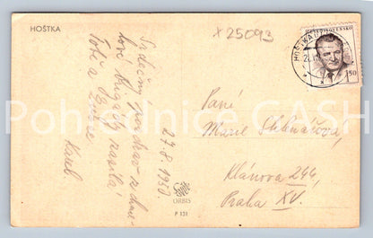 Pohlednice ŠUMAVA - BOUBÍNSKÝ PRALES (X25093)