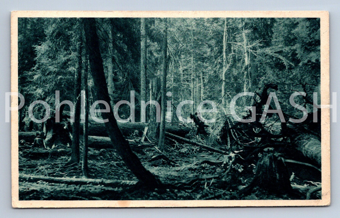 Pohlednice PRAHA (X25094)