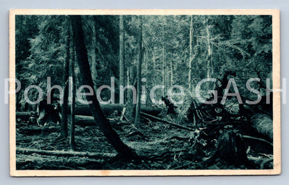 Pohlednice PRAHA (X25094)