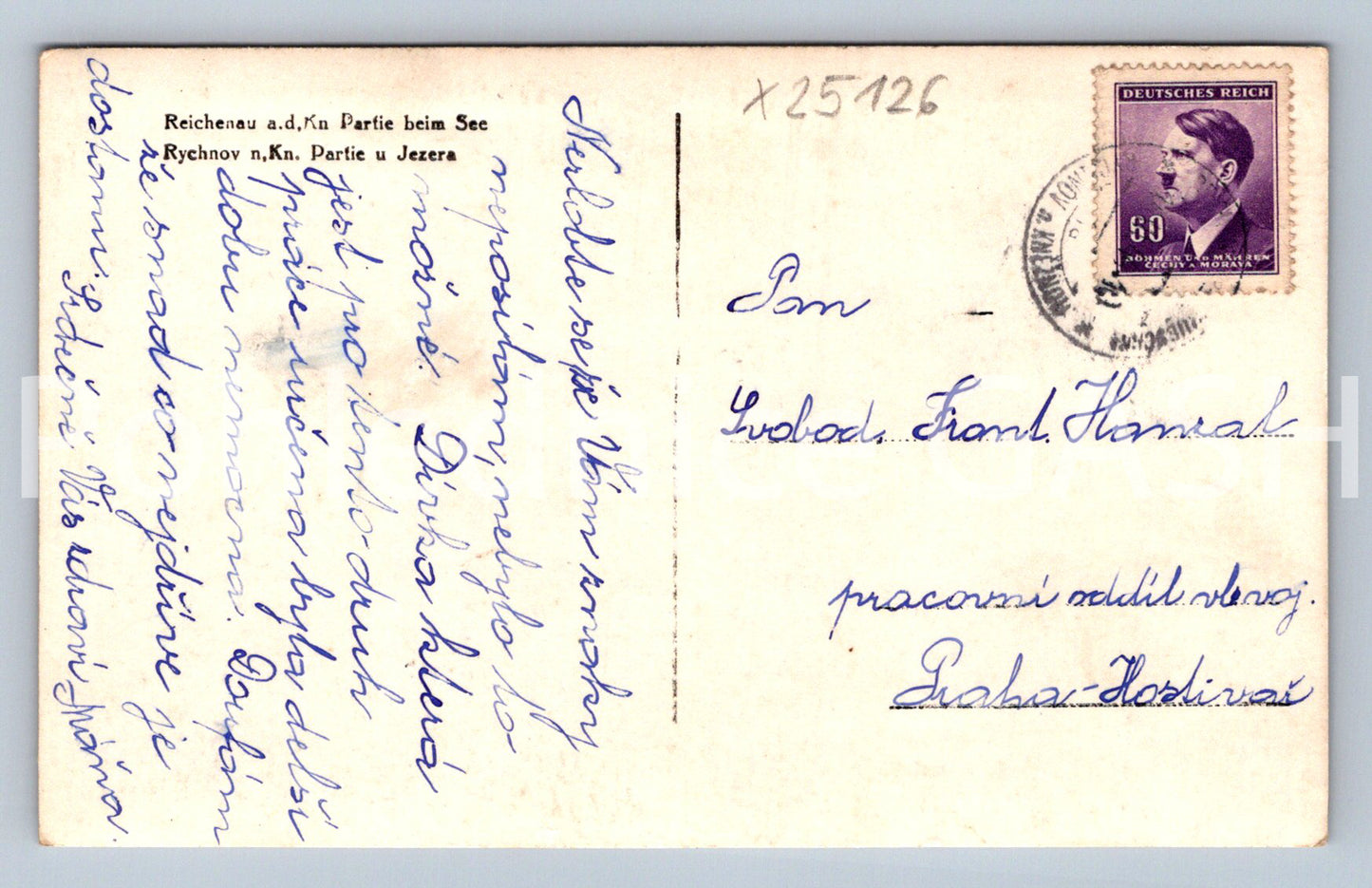 Pohlednice RYCHNOV NAD KNĚŽNOU (X25126)