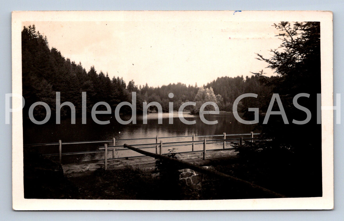 Pohlednice RYCHNOV NAD KNĚŽNOU (X25126)