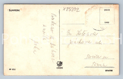 Pohlednice ŠUMPERK (X25202)