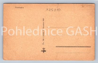 Pohlednice PRACHATICE (X25210)