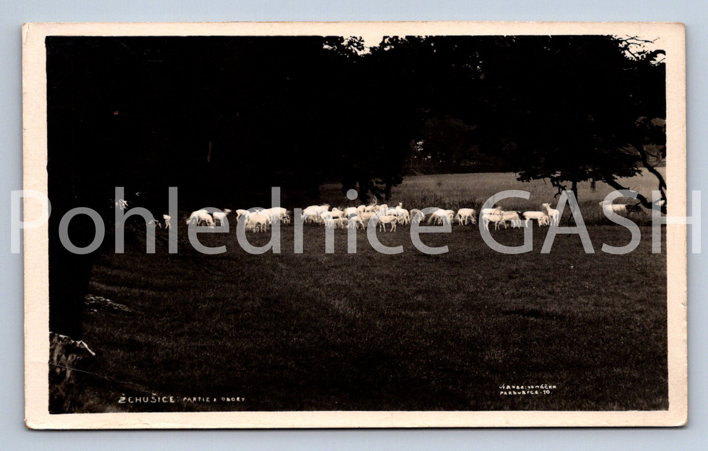 Pohlednice ŽCHUŠICE (X25234)