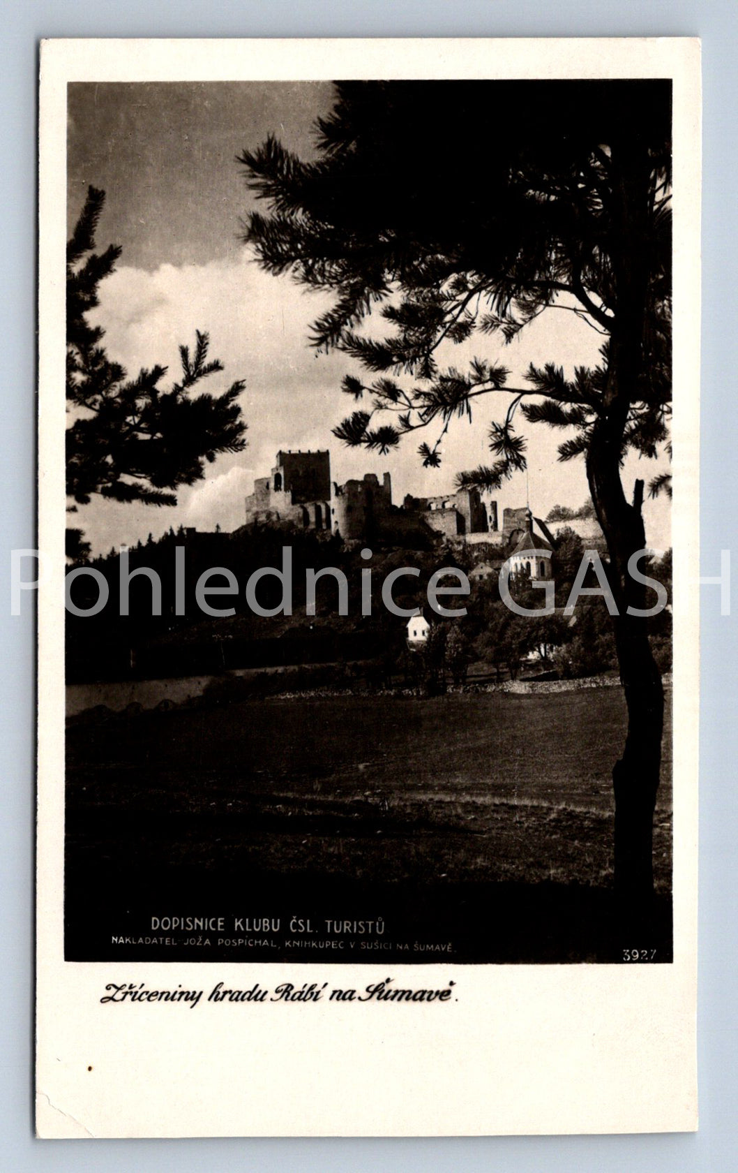 Pohlednice ZŘÍCENINA HRADU RÁBÍ NA ŠUMAVĚ (X25252)