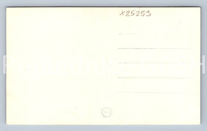 Pohlednice KOSTELEC N. ČER. LESY (X25253)