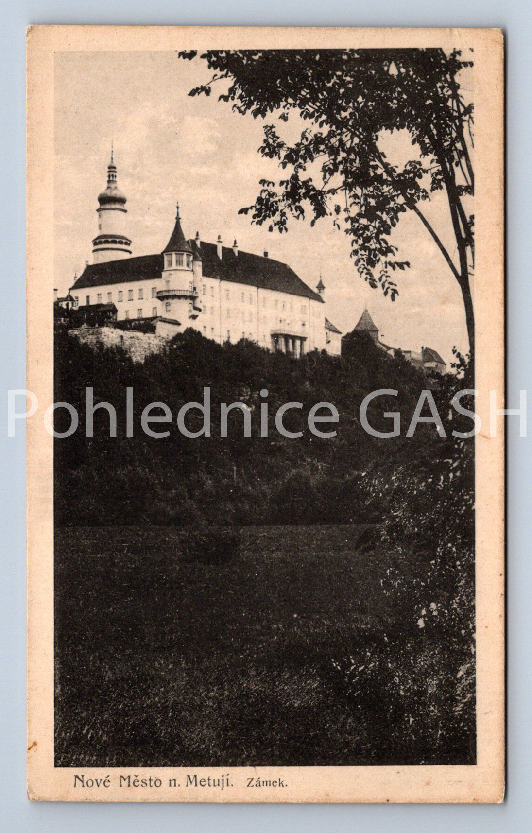 Pohlednice NOVÉ MĚSTO NAD METUJÍ (X25257)