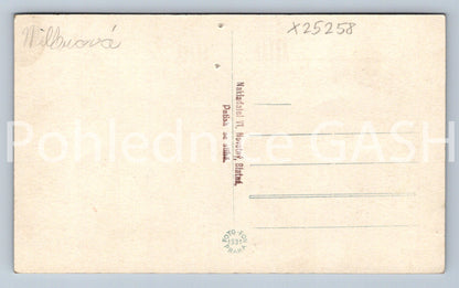 Pohlednice BLATNÁ - ZÁMEK (X25258)