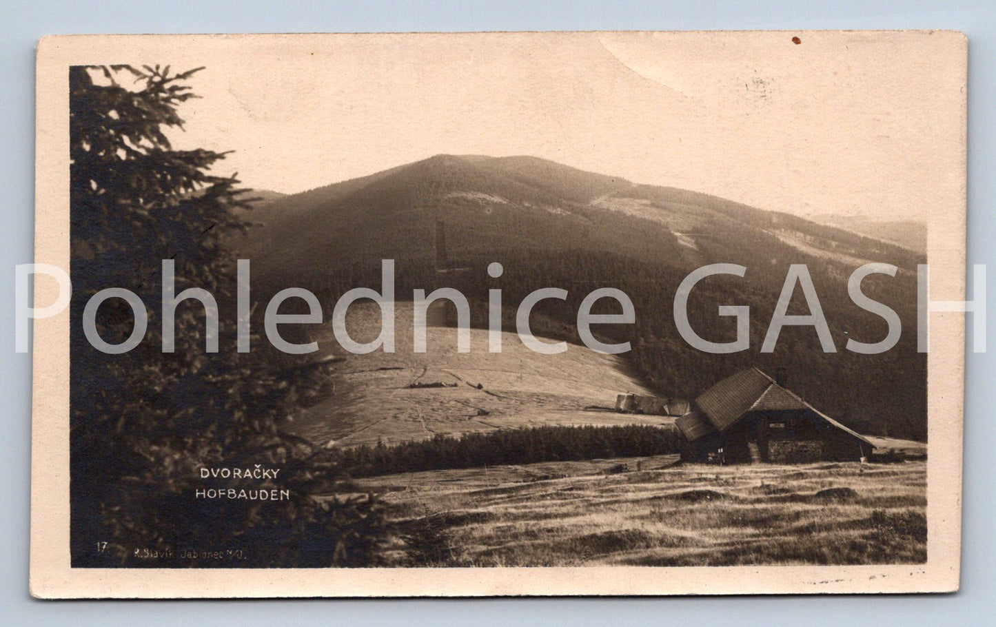 Pohlednice DVORAČKY (X25272)