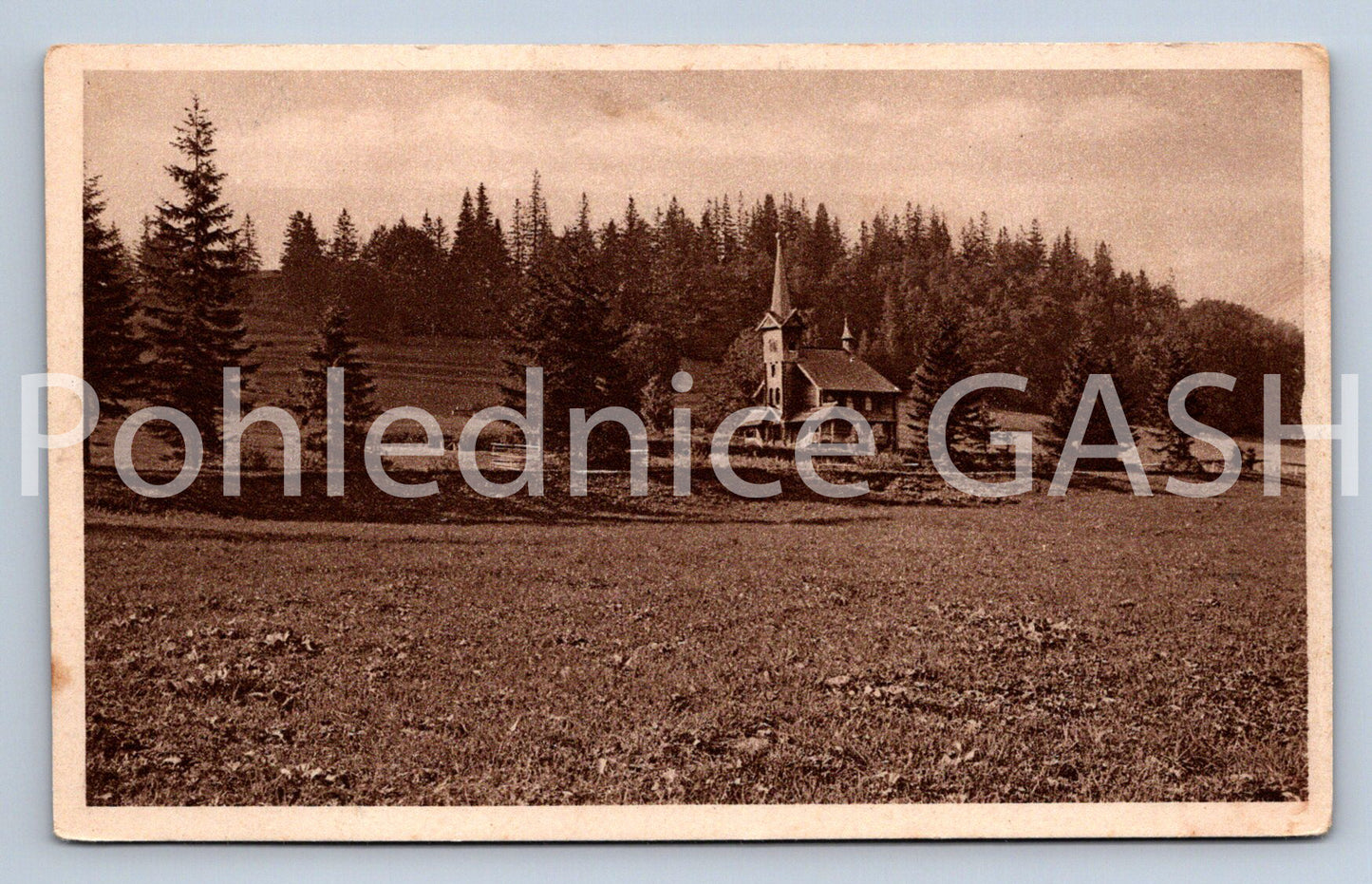 Pohlednice JAVORINY (X25312)