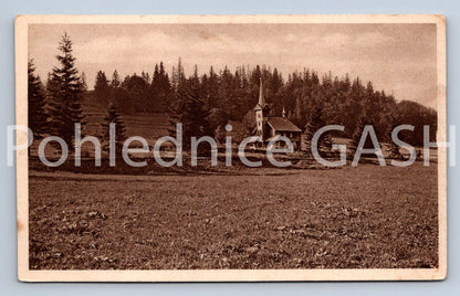 Pohlednice JAVORINY (X25312)