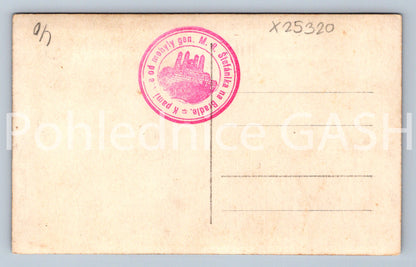 Pohlednice NA BRADLE (X25320)