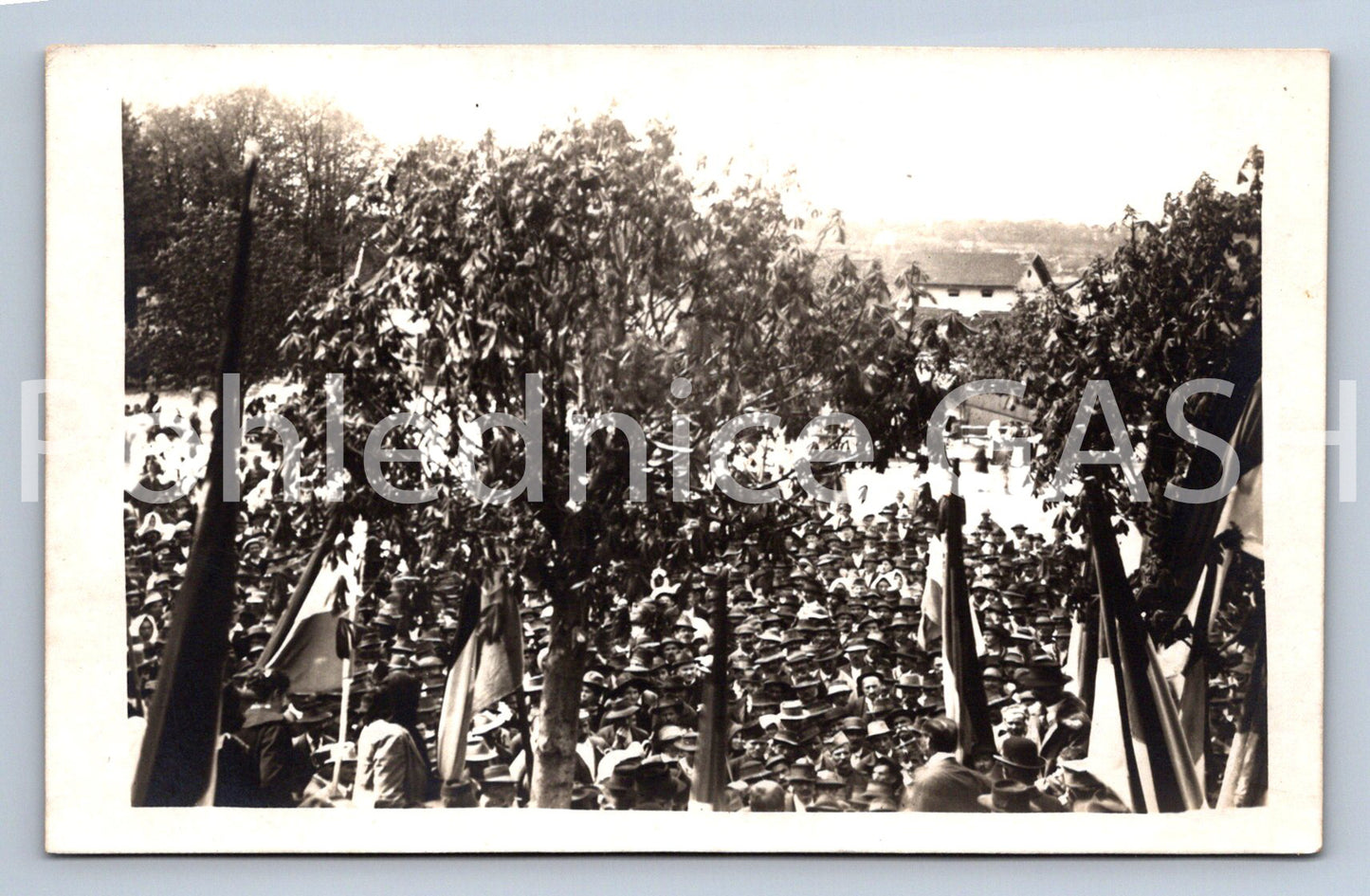 Pohlednice DAV (X25358)