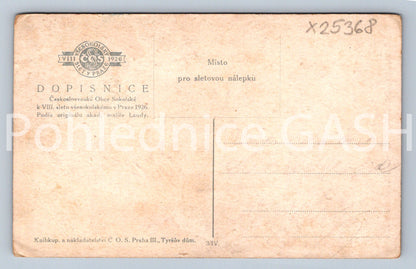 Pohlednice ČESKOSLOVENSKÉ OBCE SOKOLSKÉ (X25368)