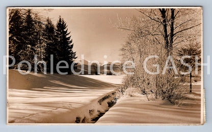 Pohlednice POTŮČEK V ZIMĚ (X25375)