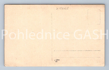 Pohlednice ČESKÁ RODINA (x17768)
