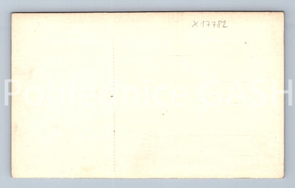 Pohlednice ČESKÝ ZÁMEK (x17782)