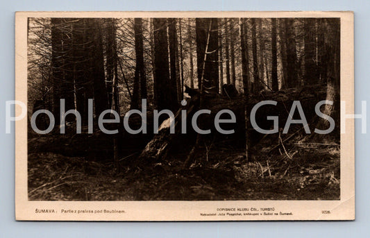 Pohlednice ŠUMAVA, PRALES BOUBÍN (x17783)