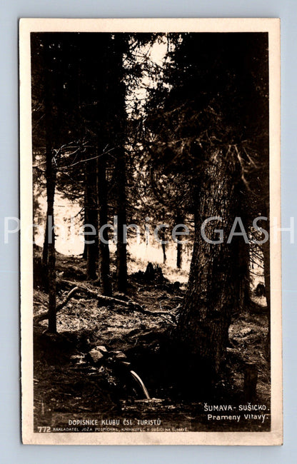 Pohlednice ŠUMAVA, SUŠICKO (x17784)